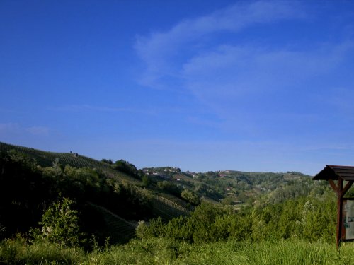 Passeggiata tra le vigne del barbera