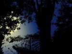 7 luglio, ore 21 Con la luna e le lucciole nei boschi dei Saraceni