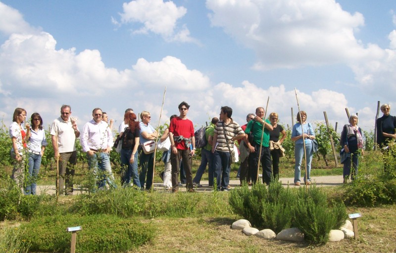 Ulisse sulle Colline 2014, Poesia, natura, musica, arte, Festa nella Riserva naturale della Valsarmassa