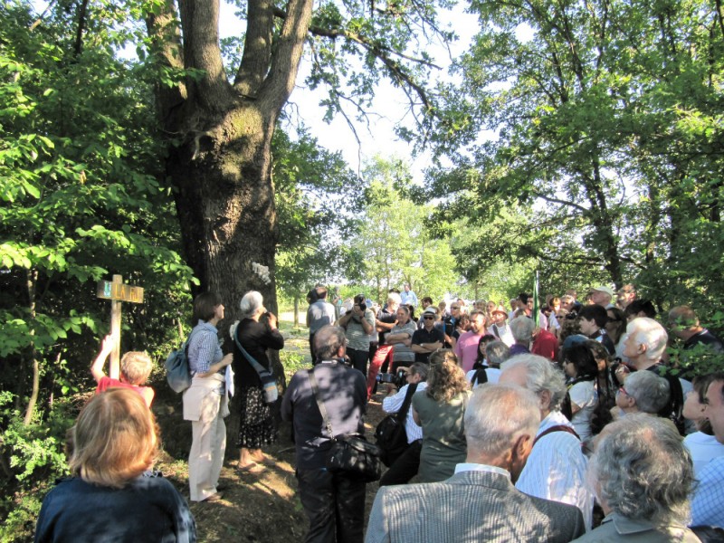 Ulisse sulle colline 2019 - Poesia, natura, musica, arte - XXV edizione 