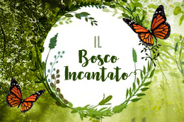 Il Bosco Incantato di Vinchio online